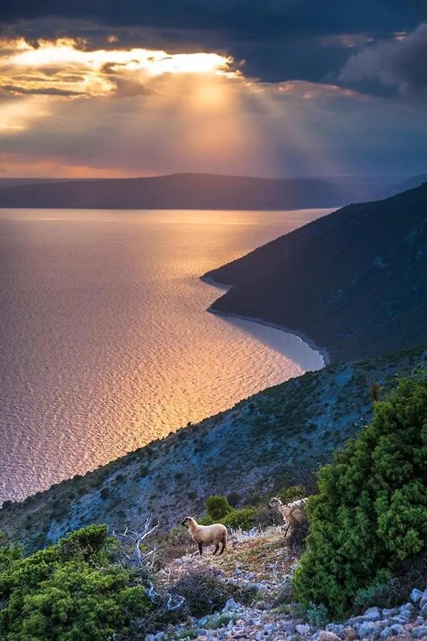 Apartment Hana Opatija 0*,